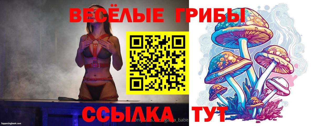 Алексин  Галлюциногенные грибы GOLDEN TEACHER  Вход с VPN 