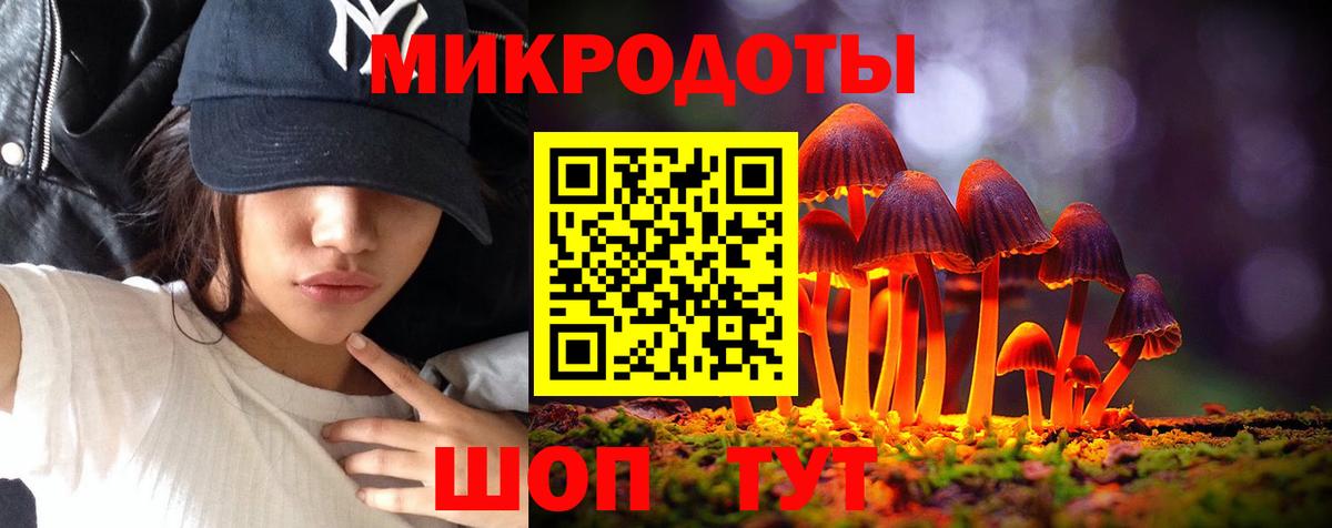 Галлюциногенные грибы Psilocybine cubensis Алексин